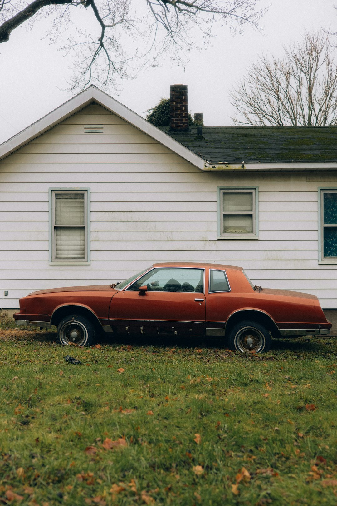 Что говорил Брюс Ли о Мухаммеде Али?