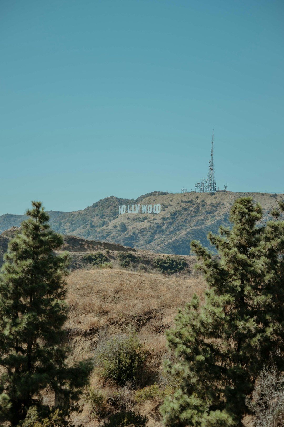 Кто исполняет песню в фильме «Родные»? Кто исполняет песню в фильме «Родные»?